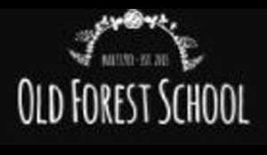 Old-forest-school-wedding-venue-Pluse-djs